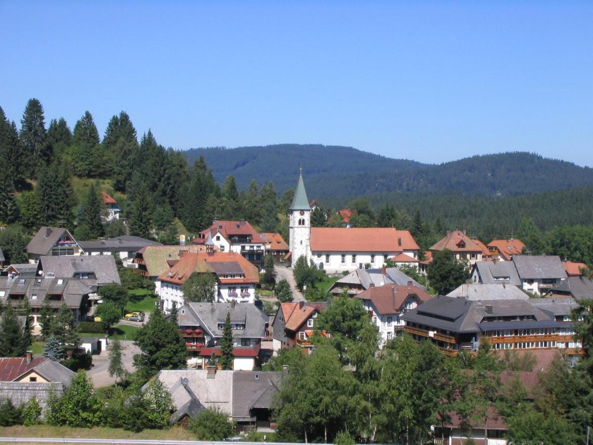 Mellex Feldberg (Baden-Wurttemberg)